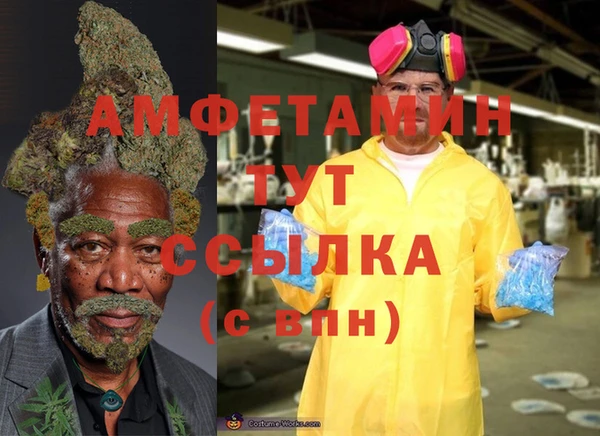 тгк Нея