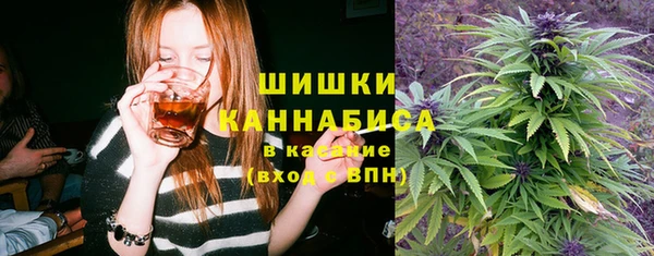 тгк Нея