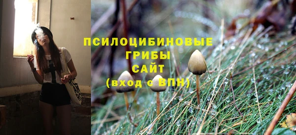 соль ск Нефтекумск