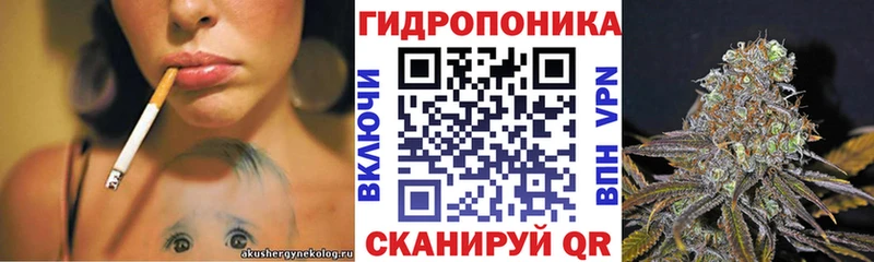 закладка Пойковский blacksprut ССЫЛКА нарко площадка официальный сайт Шишки марихуана план